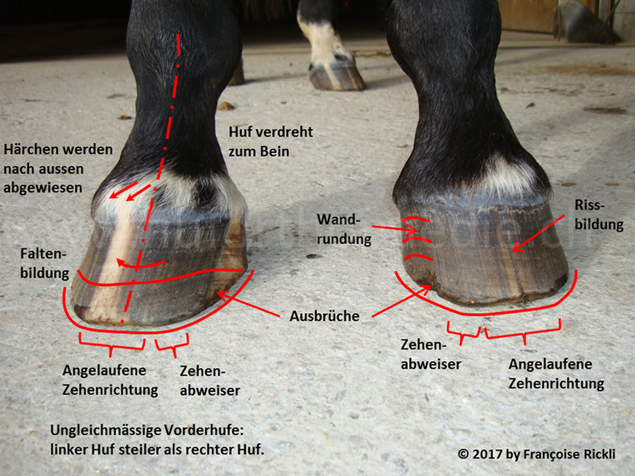 2 Fallbeispiele
